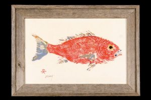 Fish Aye Trading Company - Red Snapper in Driftwood Frame