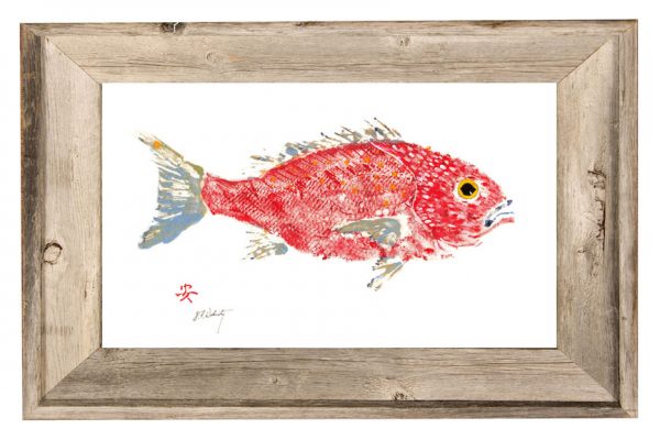 Fish Aye Trading Company - Red Snapper in Driftwood Frame